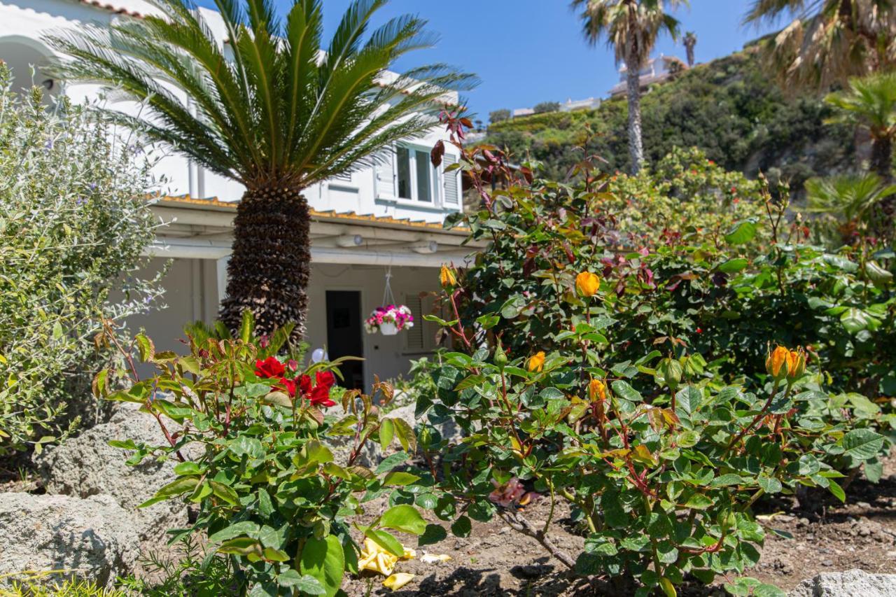 Villa Al Mare - Famiglia Calise Forio di Ischia Εξωτερικό φωτογραφία